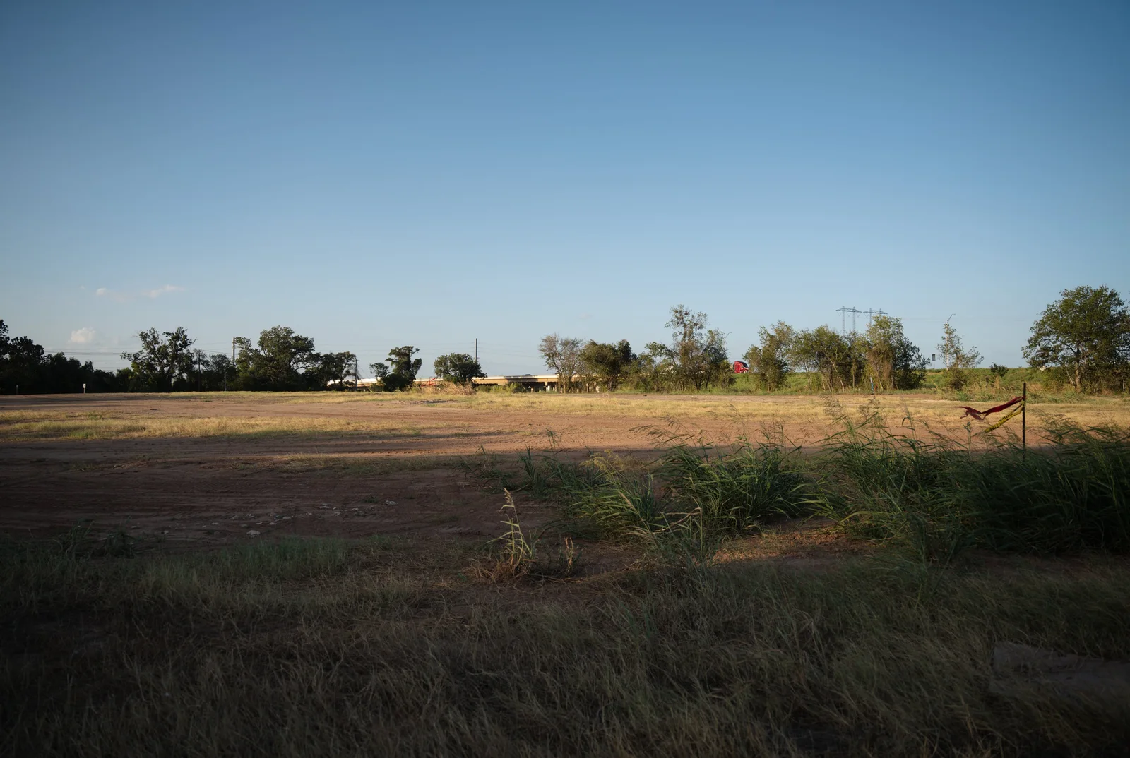 The cleared Occam Foundry site at golden hour, native grasses in the foreground and a treeline beyond